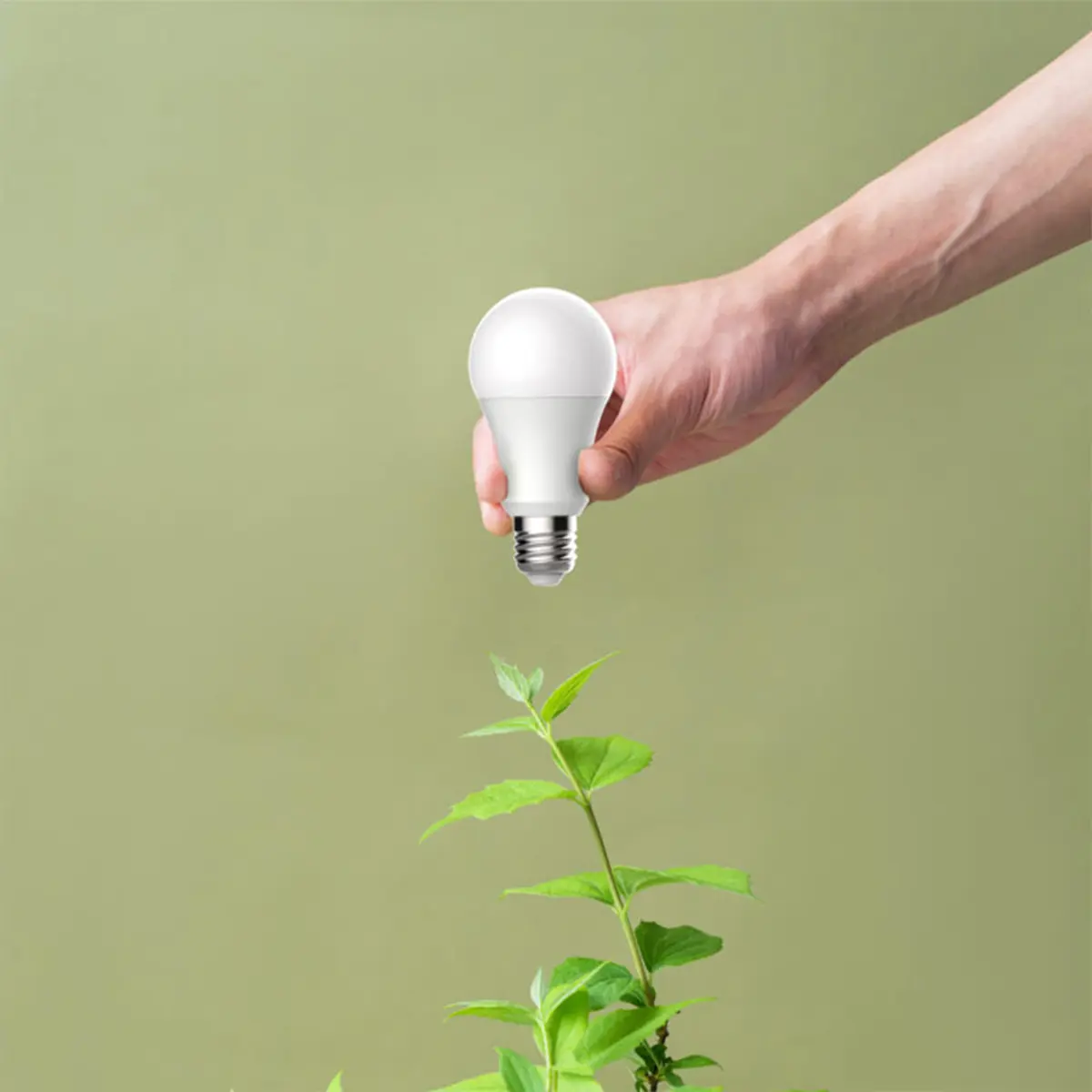 Bombilla WiFi Pack 2 uds. | BW10 - Imagen 5